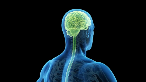 Brain & Nerve Therapy